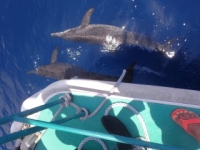 シーメリリーの最新写真