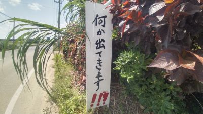 SENSE OF WONDERの最新写真