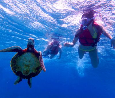 マリンサポートタイド・宮古の最新写真