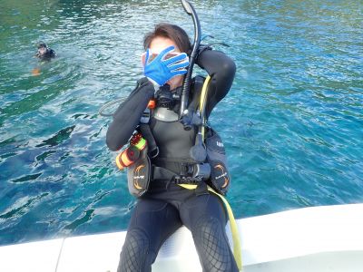 黒潮潜水の最新写真
