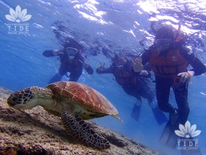 マリンサポートタイド・宮古の最新写真