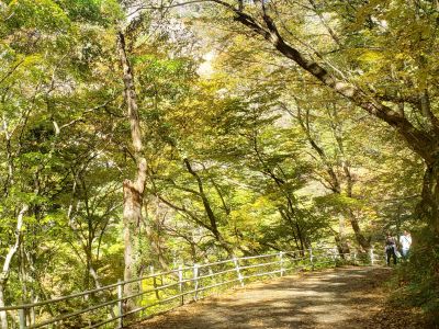 昇仙峡ロープウェイの最新写真
