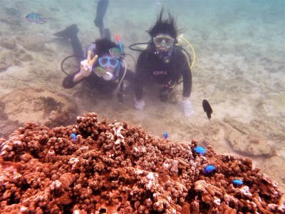 海の遊び処 なかゆくいの最新写真