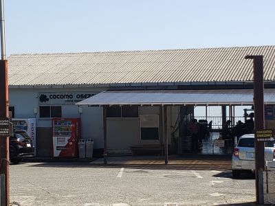 ＣＯＣＯＭＯ　ＯＳＥＺＡＫＩの最新写真