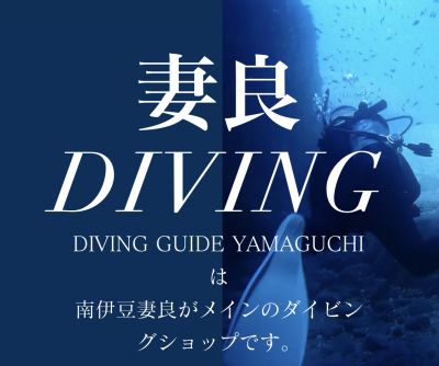 妻良DIVINGの最新写真