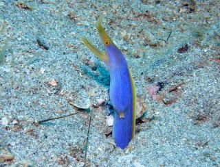 アクアトリップダイビング AQUA TRIP DIVINGの最新写真