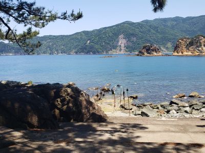 黄金崎公園マリンスポーツセンターの割引プラン