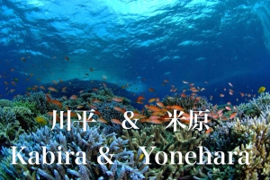 ダイビングショップ 海のメロディー IN北部の最新写真