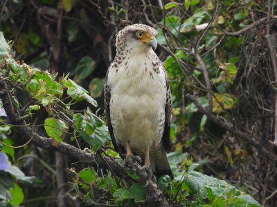 SENSE OF WONDERの最新写真