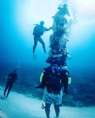 MARUDAI マルダイの最新写真