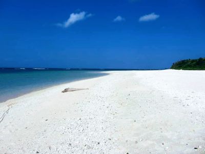 グッディグッディ石垣島の最新写真