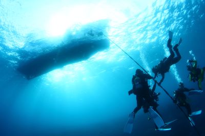 マイダイブ MyDiveの最新写真