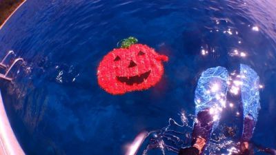 ディーズパルス沖縄の最新写真