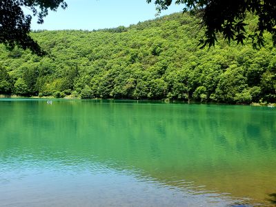 native sup ネイティヴサップの最新写真