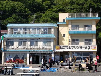 はごろもマリンサービス大瀬崎の最新写真