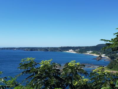 ドラゴンレディ ホテル伊豆急の最新写真