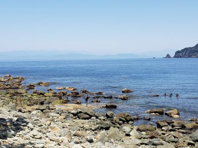 黄金崎ダイブセンターの最新写真