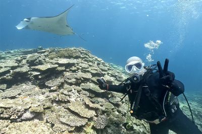 ビーチライフ石垣島の最新写真