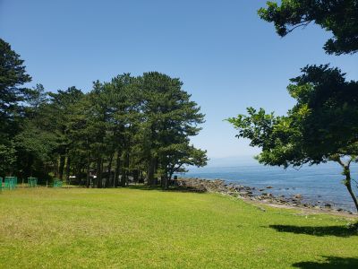 黄金崎ダイブセンターの最新写真