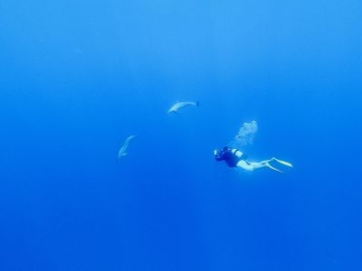 ＤＩＶＥ宮古島の最新写真