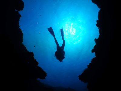 グッディグッディ石垣島の最新写真