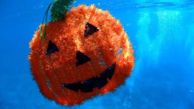 ディーズパルス沖縄の最新写真