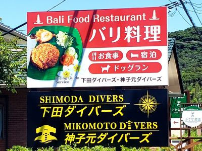 下田ダイバーズの最新写真