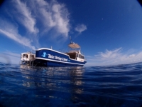 西表島ＴＡＫＥダイビングスクールの最新写真