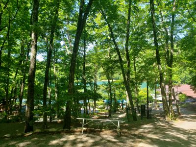 native sup ネイティヴサップの最新写真