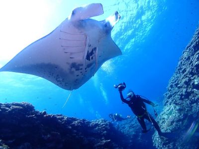 石垣島ダイビングショップａｔの最新写真