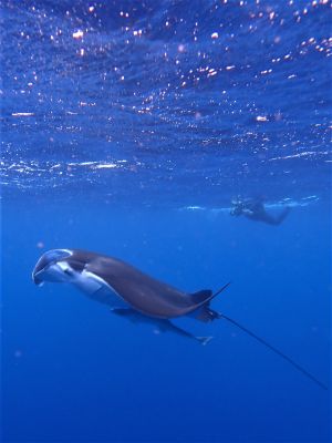 ヒートハートクラブ石垣島