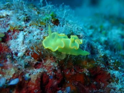 ディーズパルス沖縄の最新写真