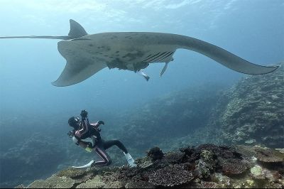 ビーチライフ石垣島の最新写真