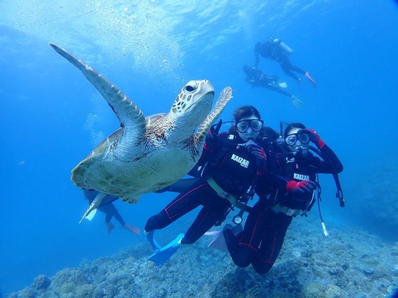 カイザーマリンクラブの最新写真