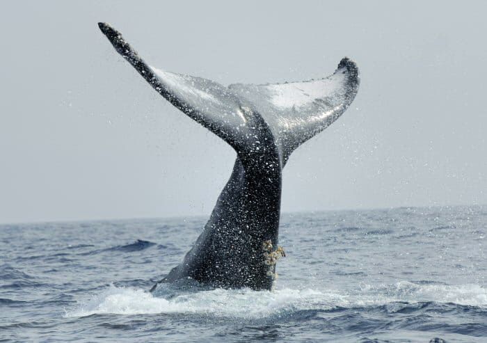 カイザーマリンクラブの最新写真