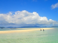 オールブルーの最新写真