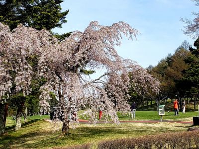 富士見高原ゴルフコースの最新写真