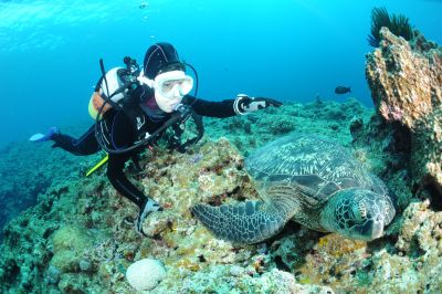 スマイルバング石垣島の最新写真