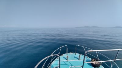 SENSE OF WONDERの最新写真