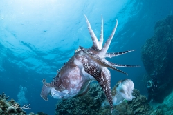 アクアカラーズの最新写真