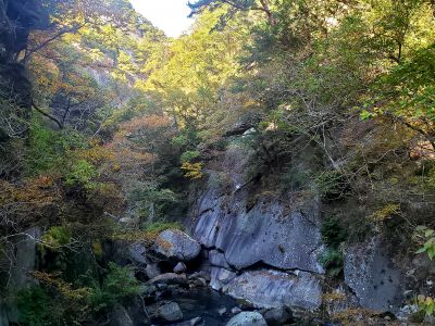 山梨ワイン王国の最新写真