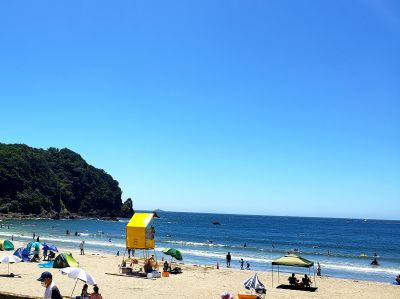 ダイビングサービス海遊社の最新写真