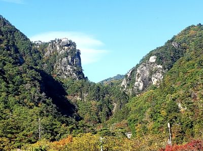 昇仙峡そば道場 すがはら屋の最新写真