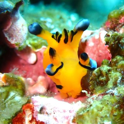 ヒートハートクラブ石垣島の最新写真