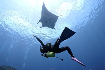 ビーチライフ石垣島の最新写真