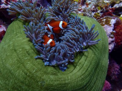 NOVA DIVE RESORT 石垣の最新写真