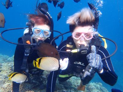 黒潮潜水の最新写真