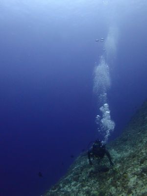 GO DIVE GUAMの最新写真