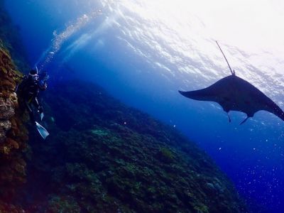 TAKU DIVE 石垣島の最新写真