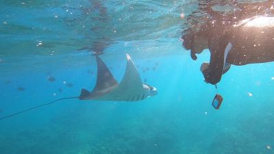 ハウオリ・オーシャン・スタイル Hau'oli Ocean Styleの最新写真